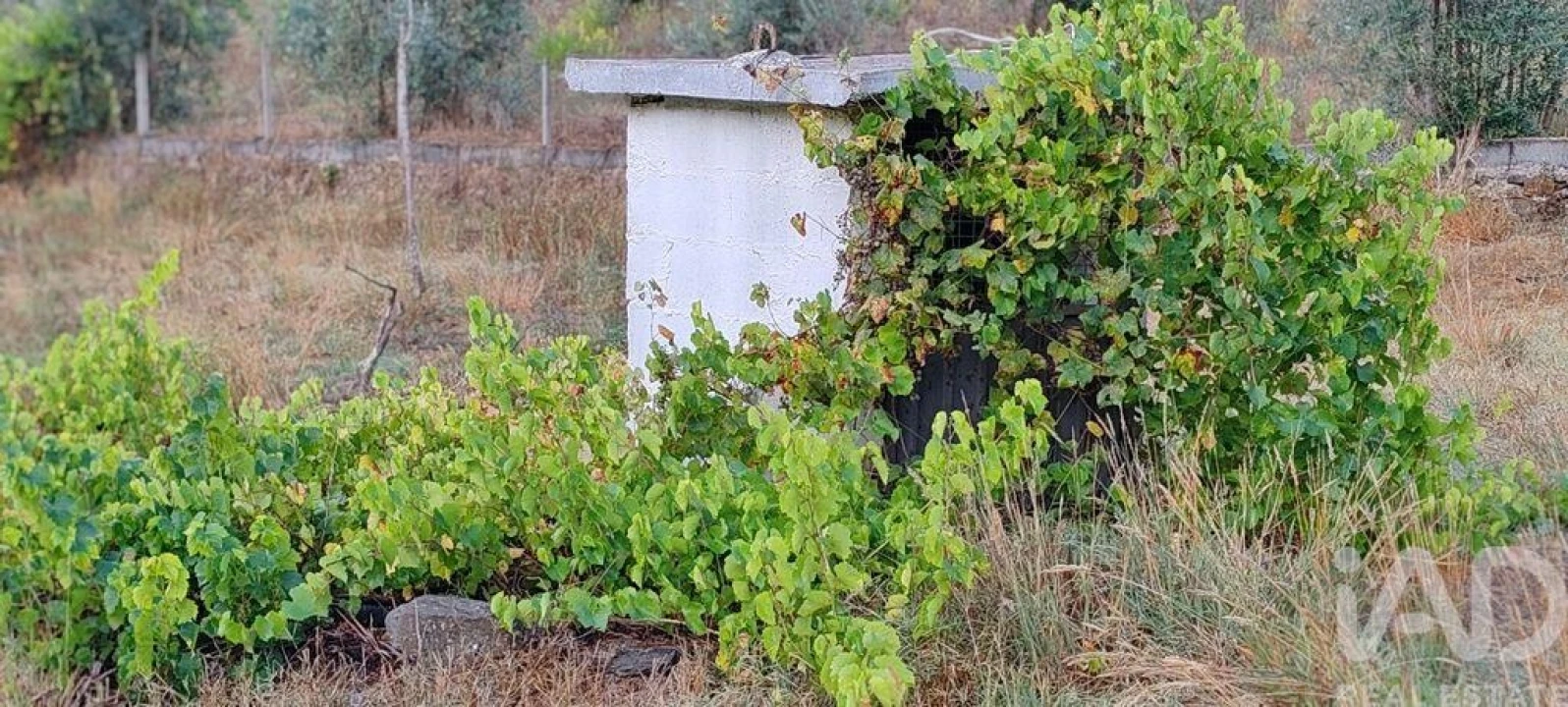 Terreno para Venda em Sertã Foto 20