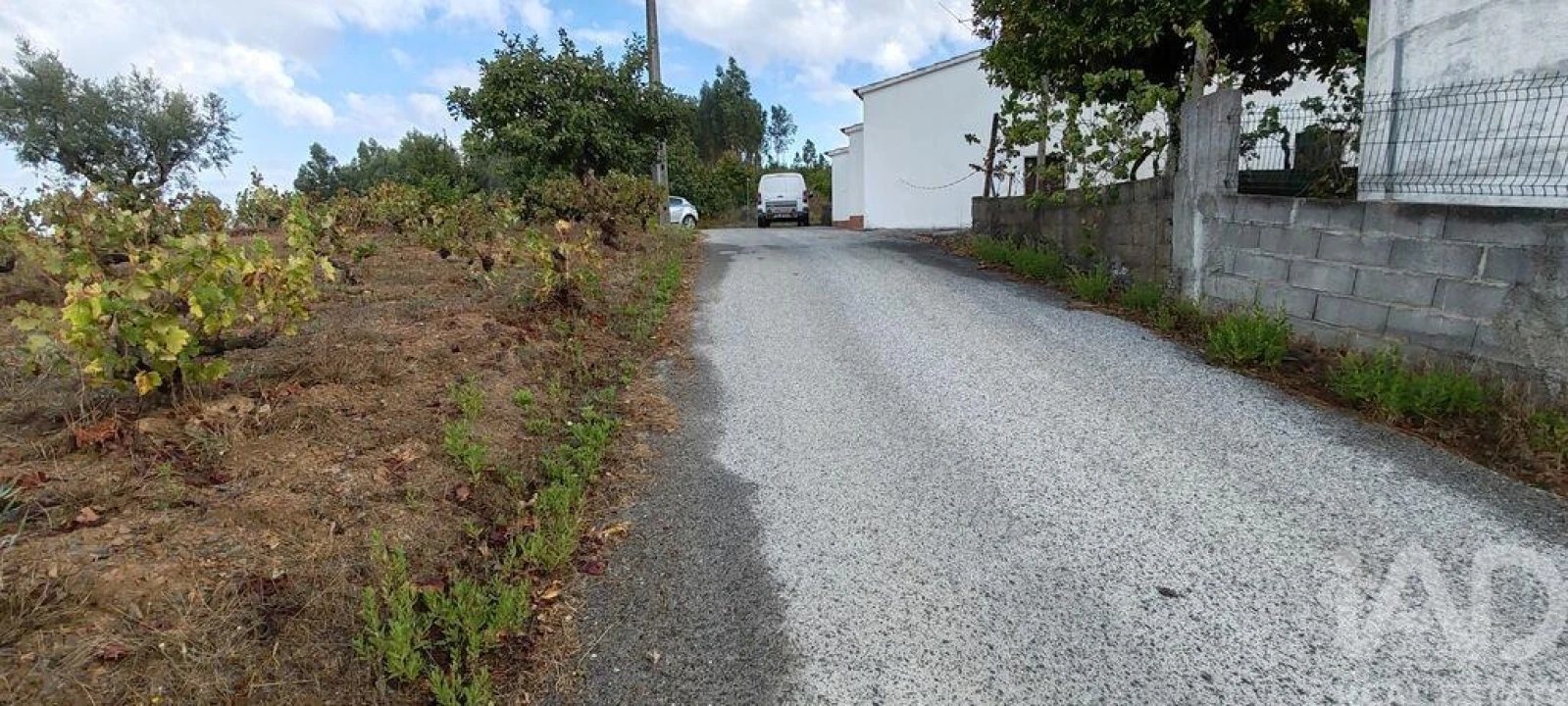 Terreno para Venda em Sertã Foto 25