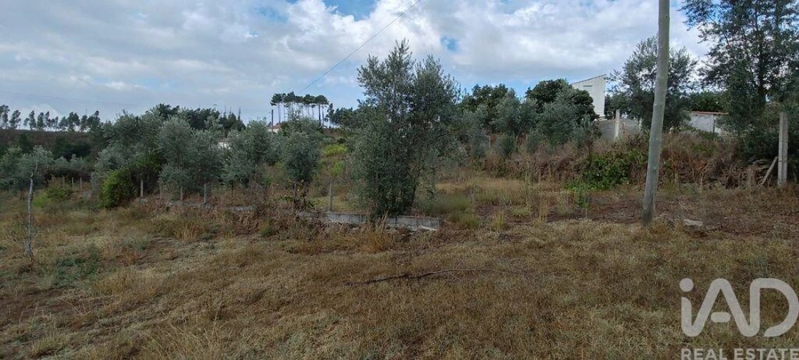 Terreno para Venda em Sertã Foto 27