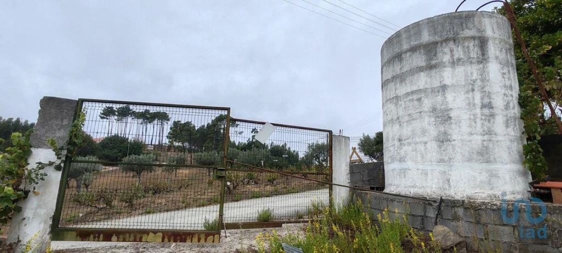 Terreno para Venda em Sertã Foto 11