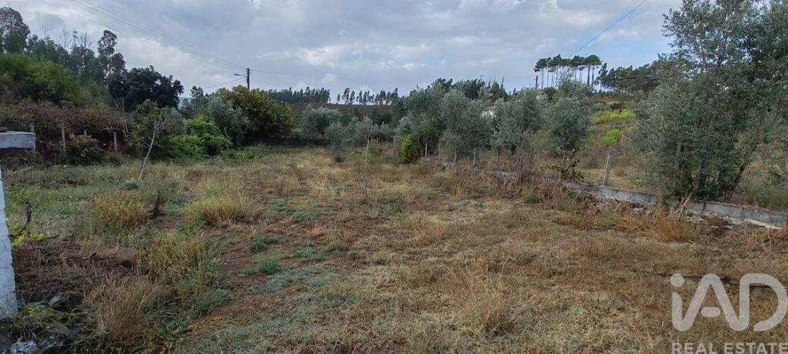 Terreno para Venda em Sertã Foto 26
