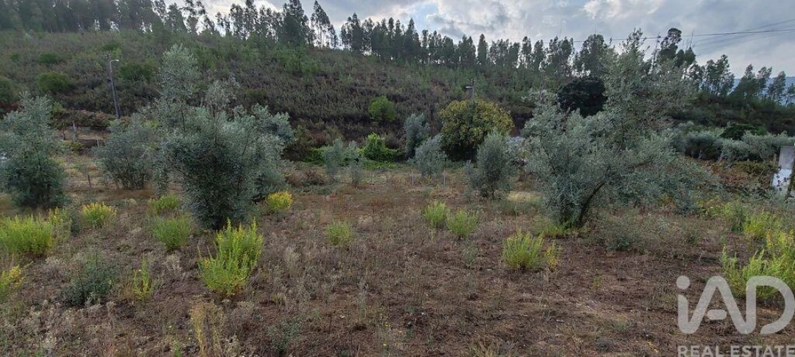Terreno para Venda em Sertã Foto 22