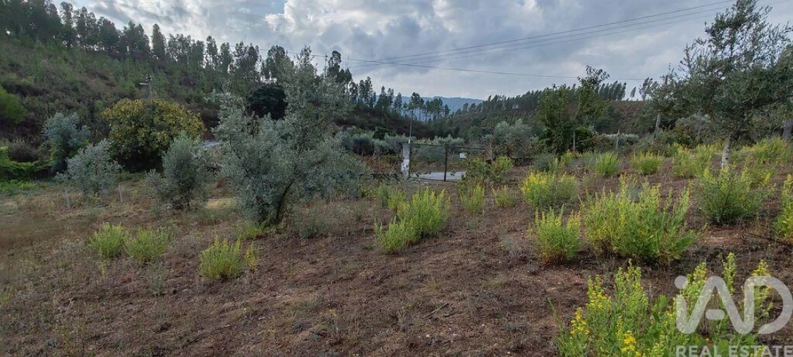 Terreno para Venda em Sertã Foto 23