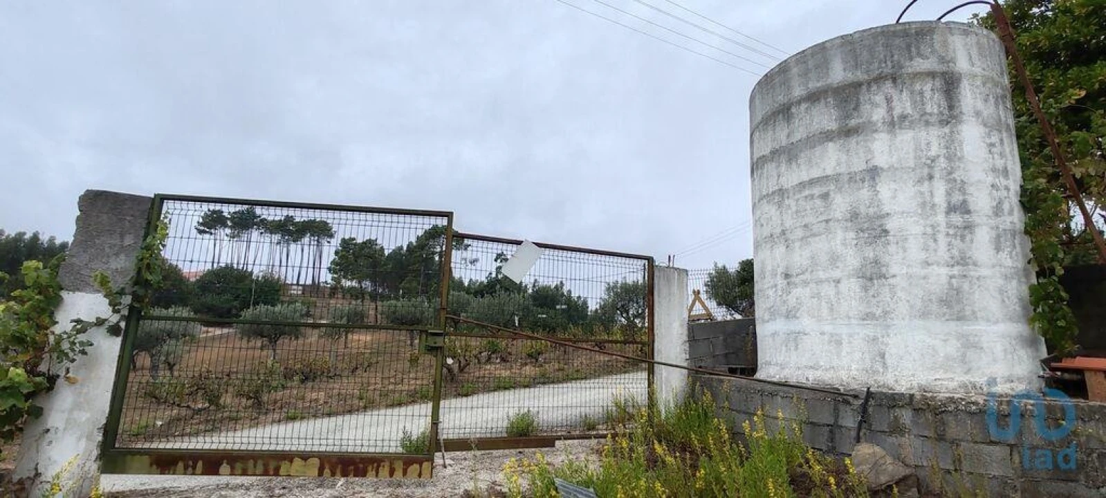 Terreno para Venda em Sertã Foto 11