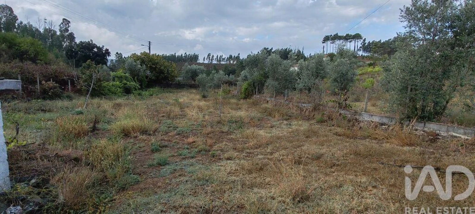 Terreno para Venda em Sertã Foto 26