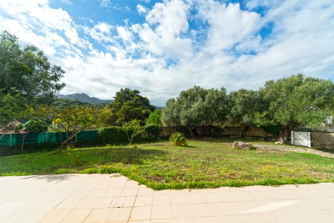 Moradia T4 para Venda em Santa Maria e São Miguel, São Martinho, São Pedro Penaferrim Foto 10