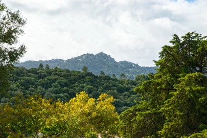 Moradia T4 para Venda em Santa Maria e São Miguel, São Martinho, São Pedro Penaferrim