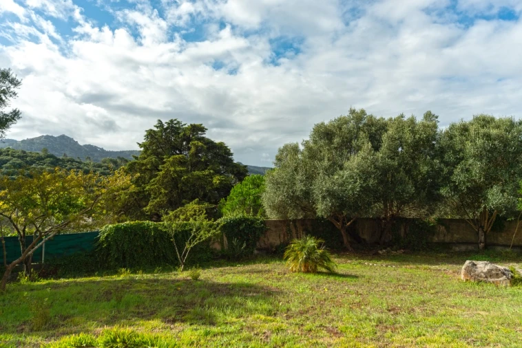 Moradia T4 para Venda em Santa Maria e São Miguel, São Martinho, São Pedro Penaferrim Foto 26