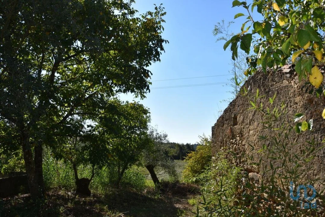 Moradia para Venda em Nossa Senhora do Pranto Foto 14