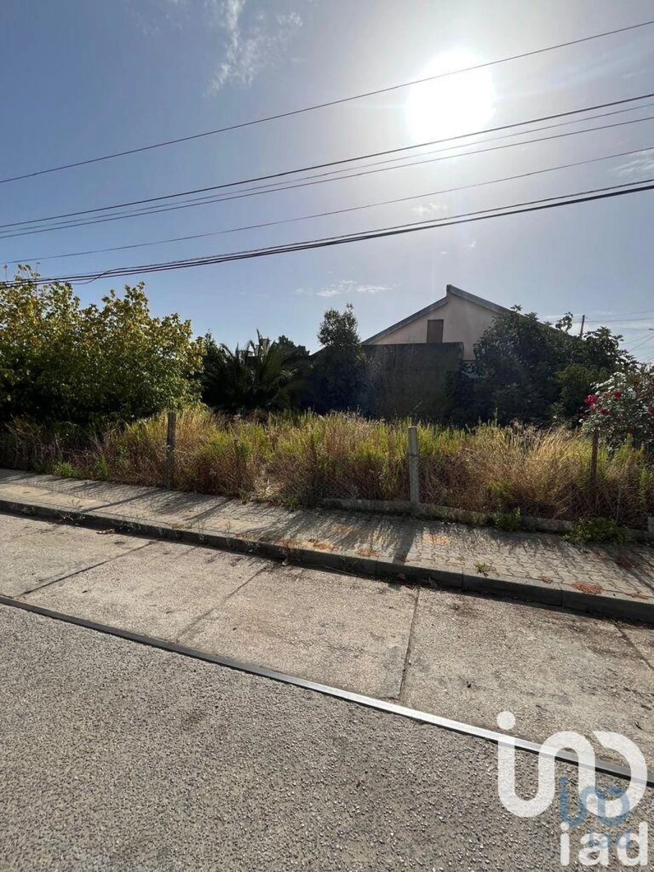 Terreno para Venda em Amora Foto 8