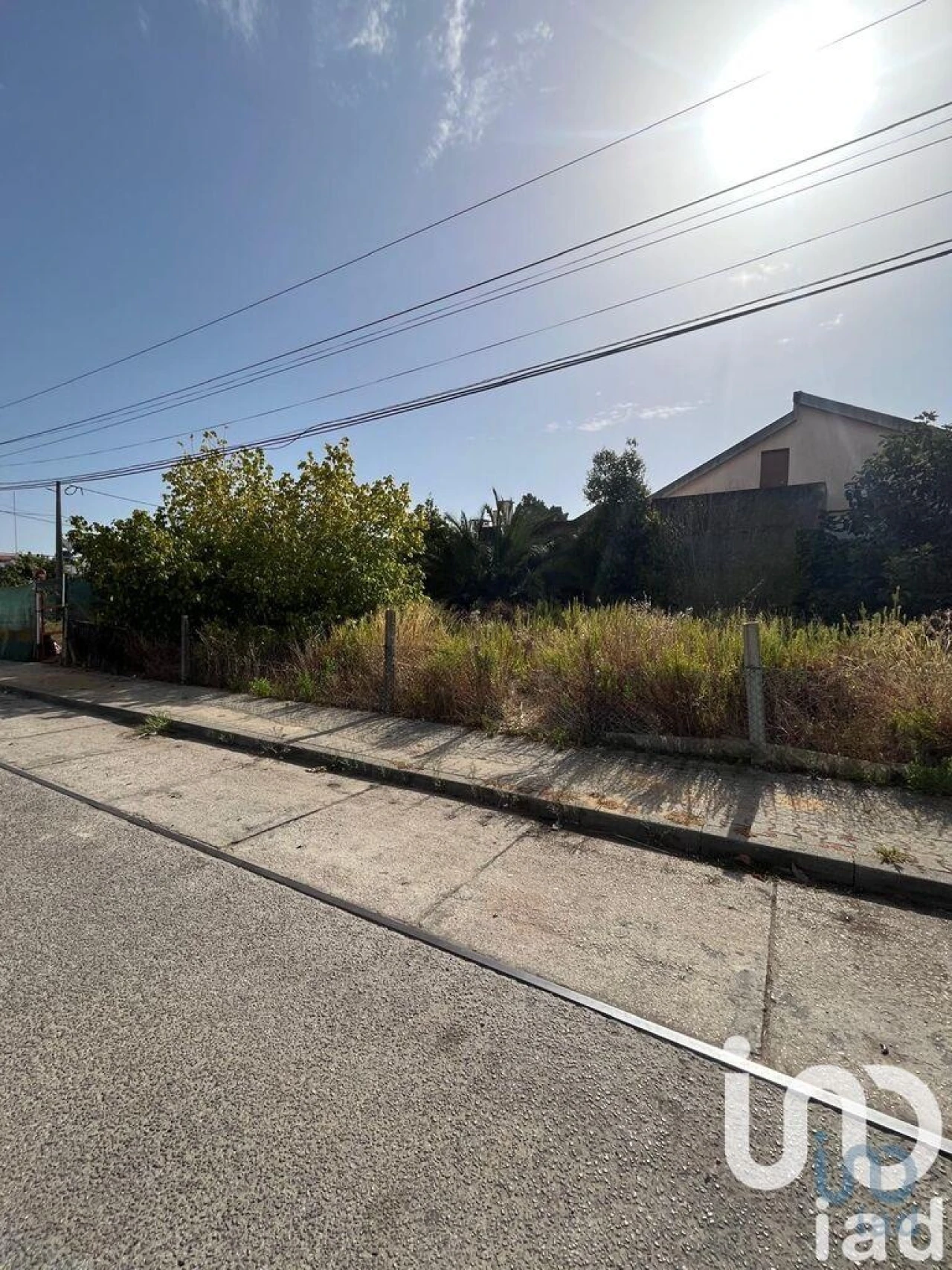 Terreno para Venda em Amora Foto 2