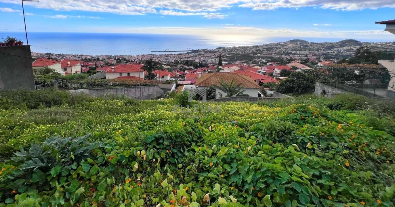 Terreno para Venda em Monte Foto 1