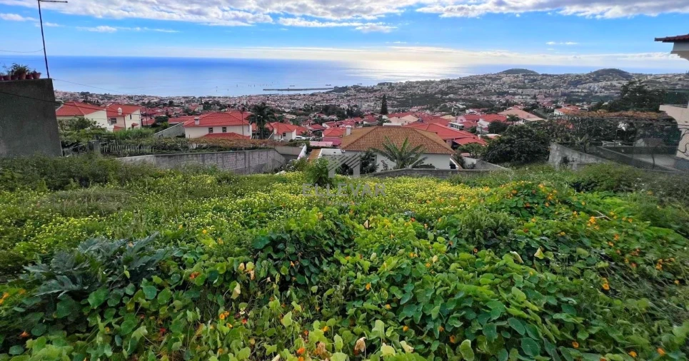 Terreno para Venda em Monte Foto 1