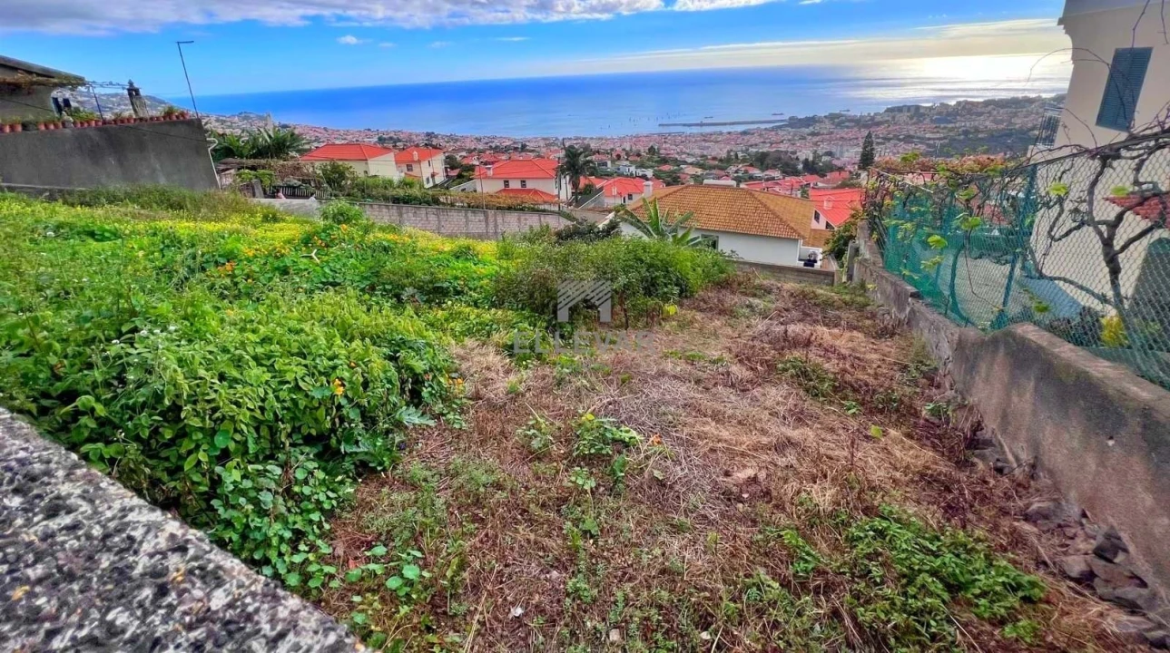 Terreno para Venda em Monte Foto 2