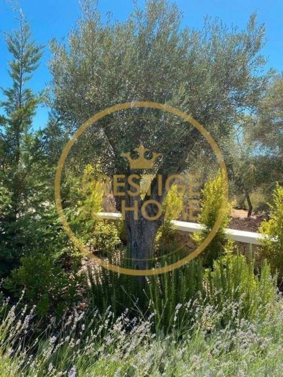 Moradia T4 para Arrendamento em Loule (São Clemente) Foto 28