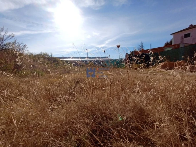 Terreno para Venda em Meia Via Foto 16