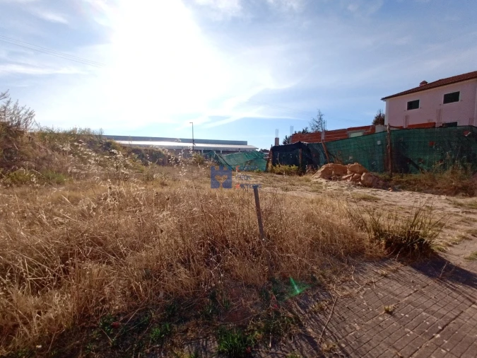 Terreno para Venda em Meia Via Foto 22