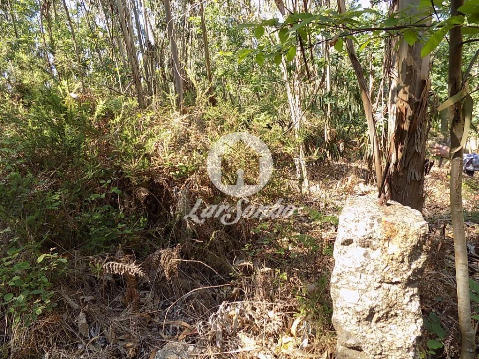 Terreno Agricola ou Rústico para Venda em Arnoso (Santa Maria e Santa Eulália) e Sezures Foto 8