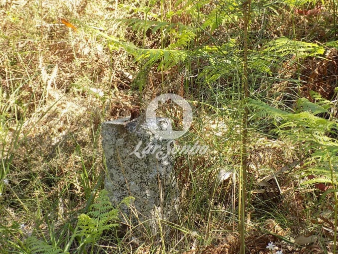 Terreno Agricola ou Rústico para Venda em Arnoso (Santa Maria e Santa Eulália) e Sezures Foto 3