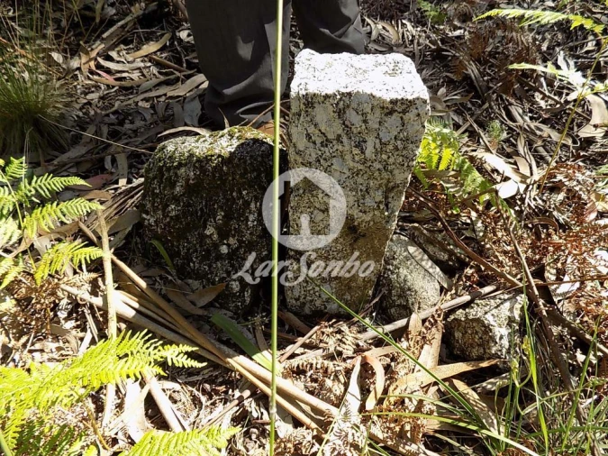 Terreno Agricola ou Rústico para Venda em Arnoso (Santa Maria e Santa Eulália) e Sezures Foto 4