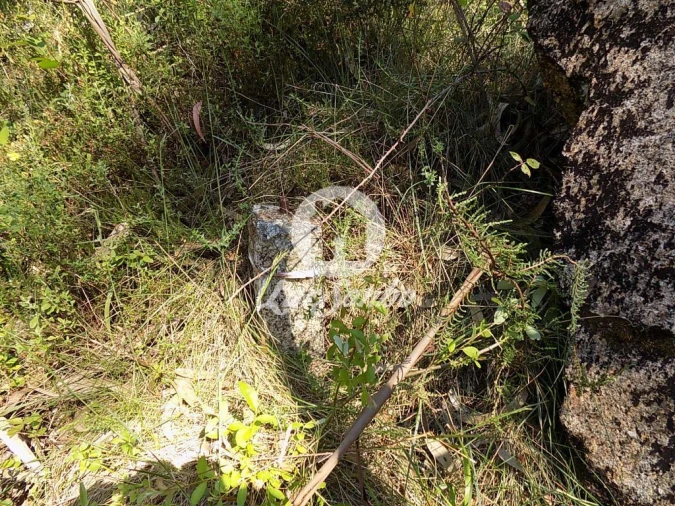Terreno Agricola ou Rústico para Venda em Arnoso (Santa Maria e Santa Eulália) e Sezures Foto 7
