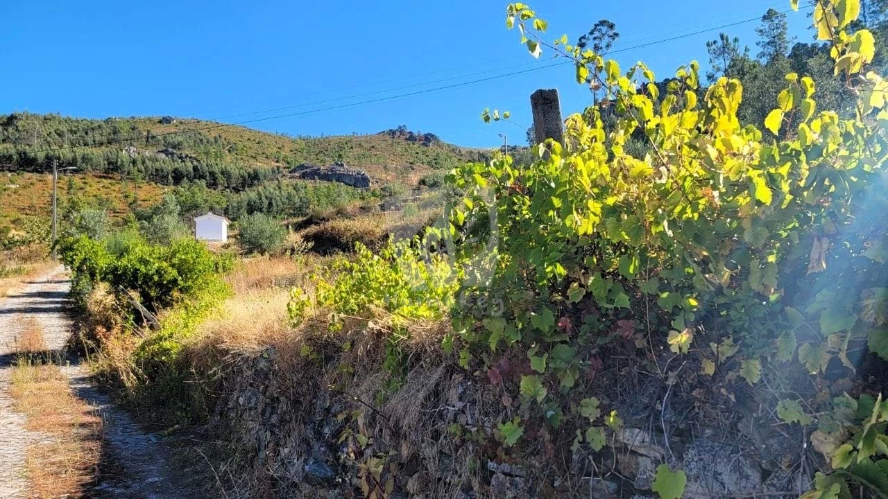 Moradia T2 para Venda em Estreito-Vilar Barroco Foto 43