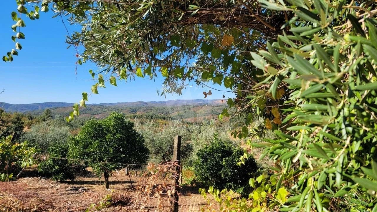 Moradia T2 para Venda em Estreito-Vilar Barroco Foto 30