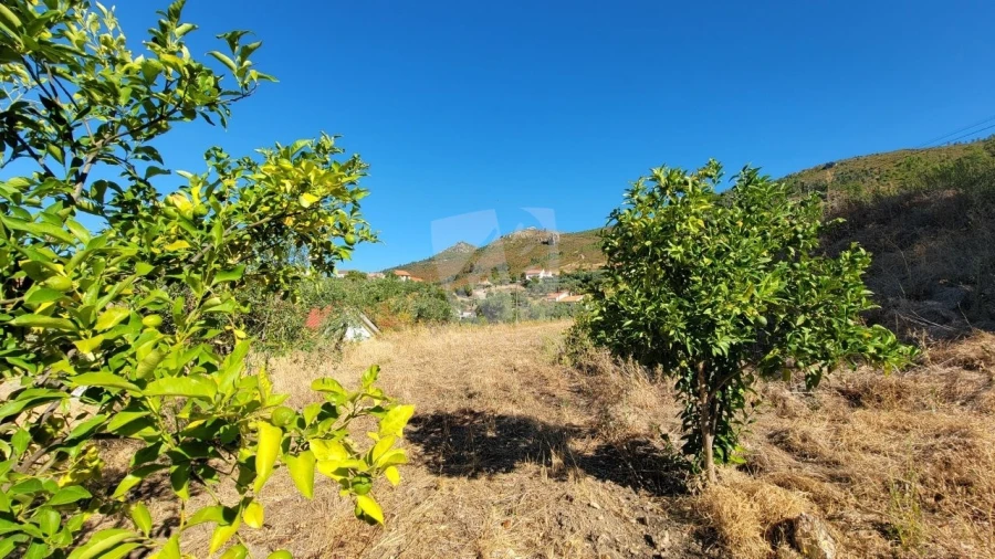 Moradia T2 para Venda em Estreito-Vilar Barroco Foto 34