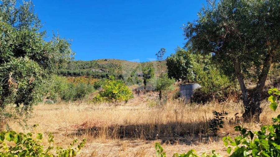 Moradia T2 para Venda em Estreito-Vilar Barroco Foto 5