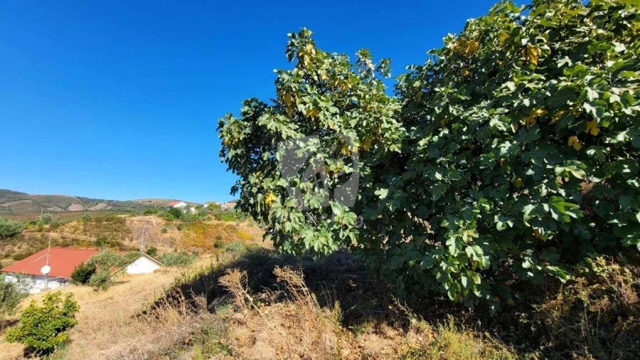 Moradia T2 para Venda em Estreito-Vilar Barroco Foto 35