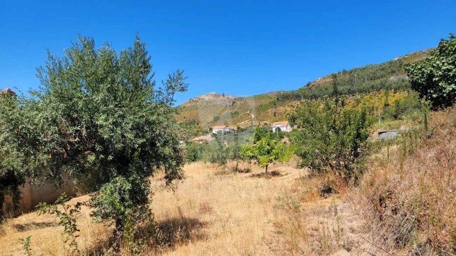 Moradia T2 para Venda em Estreito-Vilar Barroco Foto 6