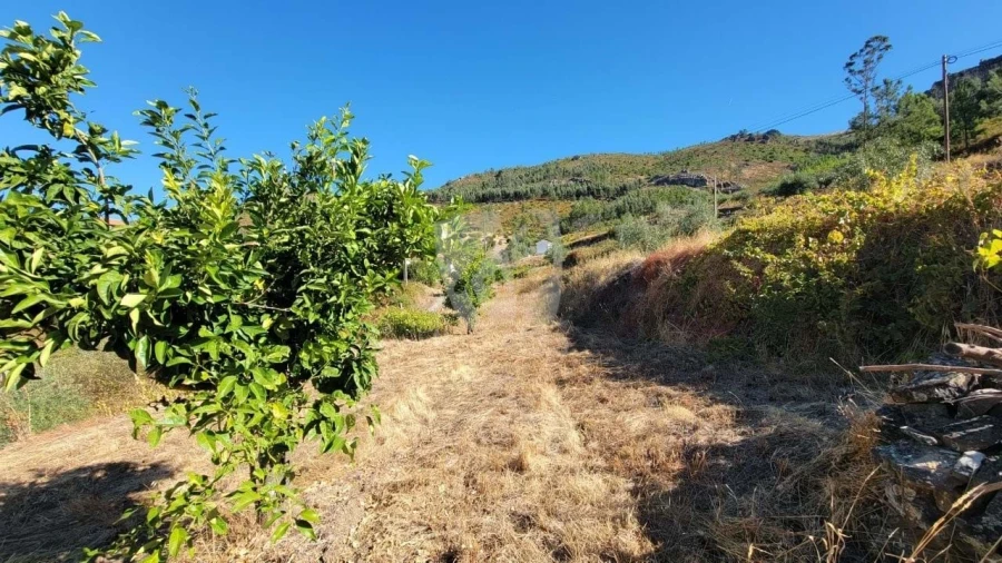 Moradia T2 para Venda em Estreito-Vilar Barroco Foto 40