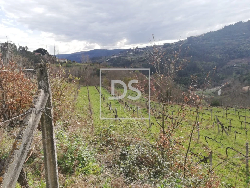 Terreno para Venda em Souselo Foto 1