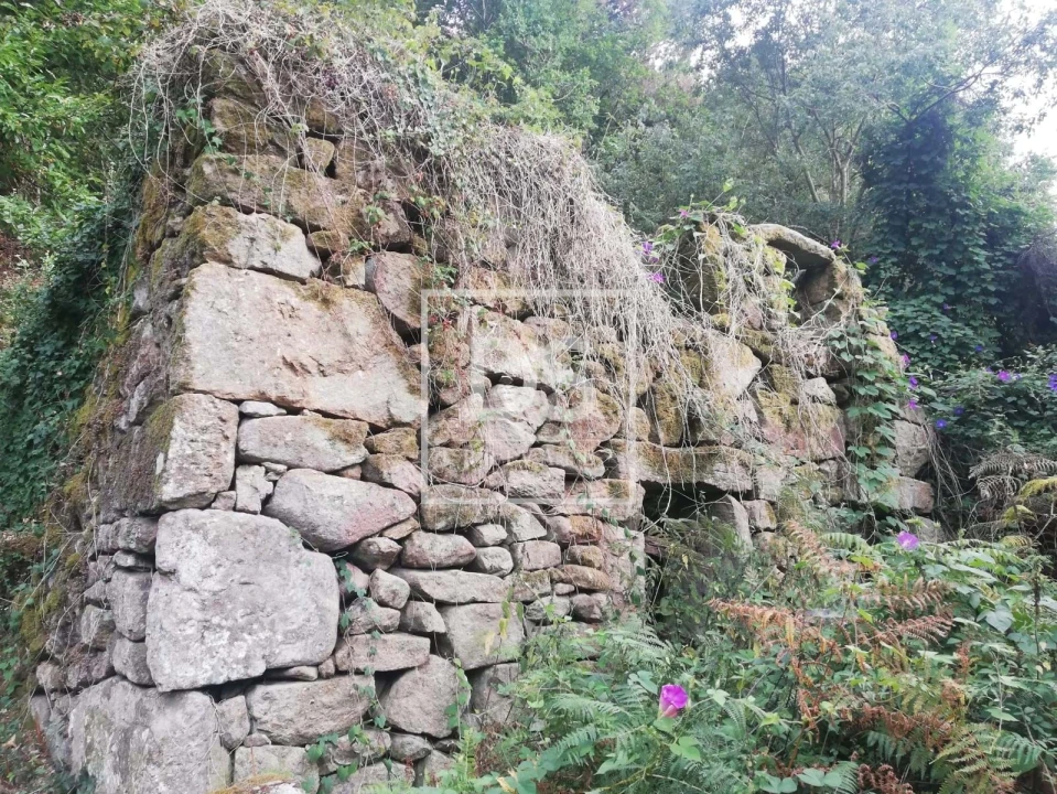 Terreno para Venda em Souselo Foto 7