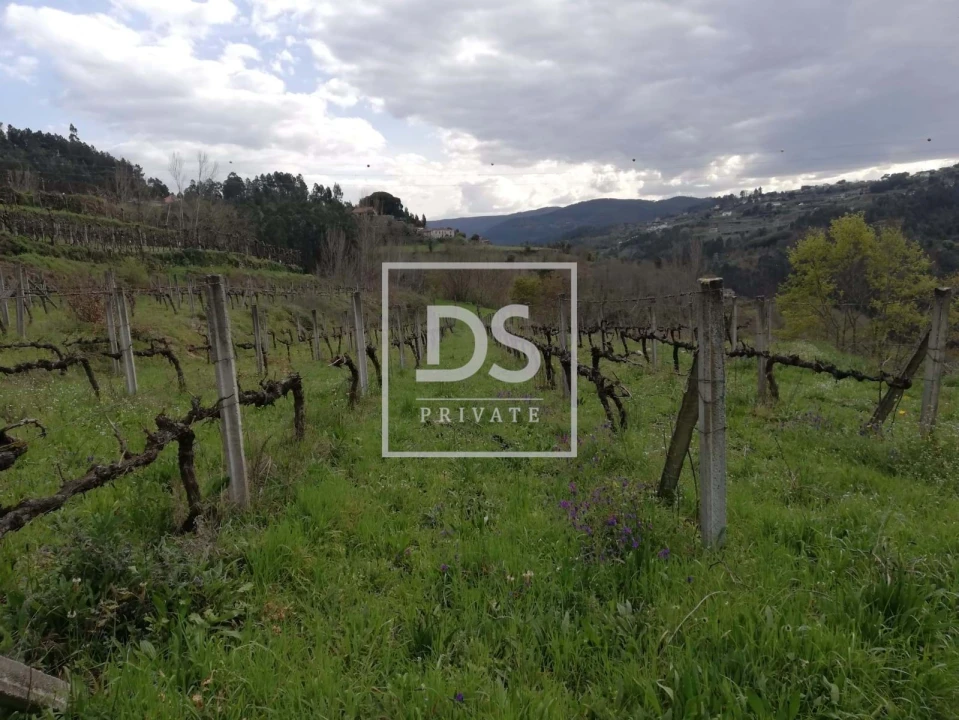 Terreno para Venda em Souselo Foto 3