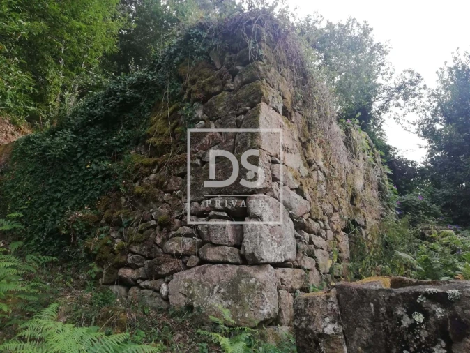 Terreno para Venda em Souselo Foto 8