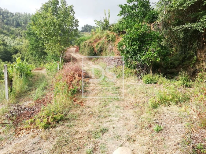 Terreno para Venda em Souselo Foto 10