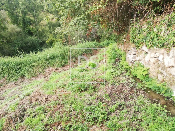 Terreno para Venda em Souselo Foto 12