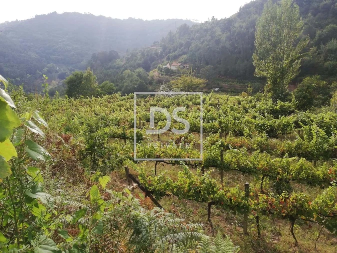 Terreno para Venda em Souselo Foto 4