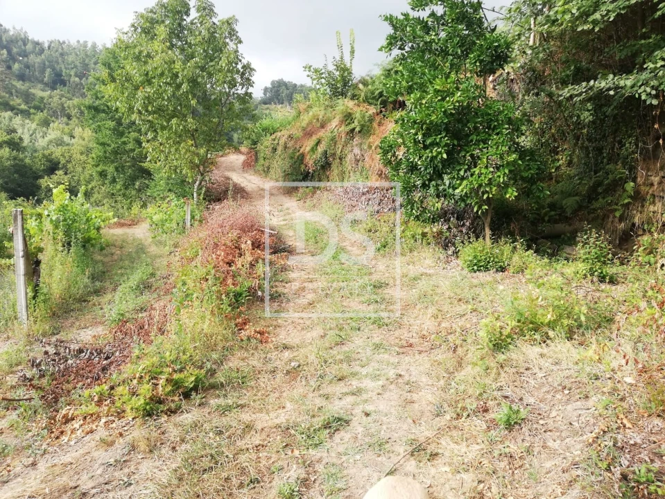 Terreno para Venda em Souselo Foto 10