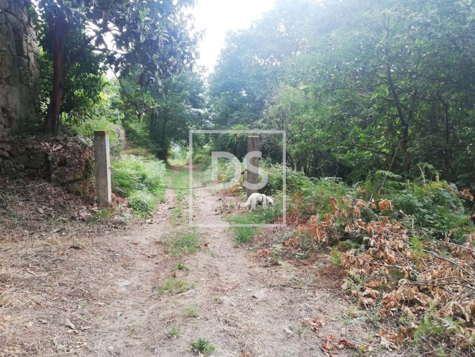 Terreno para Venda em Souselo Foto 9