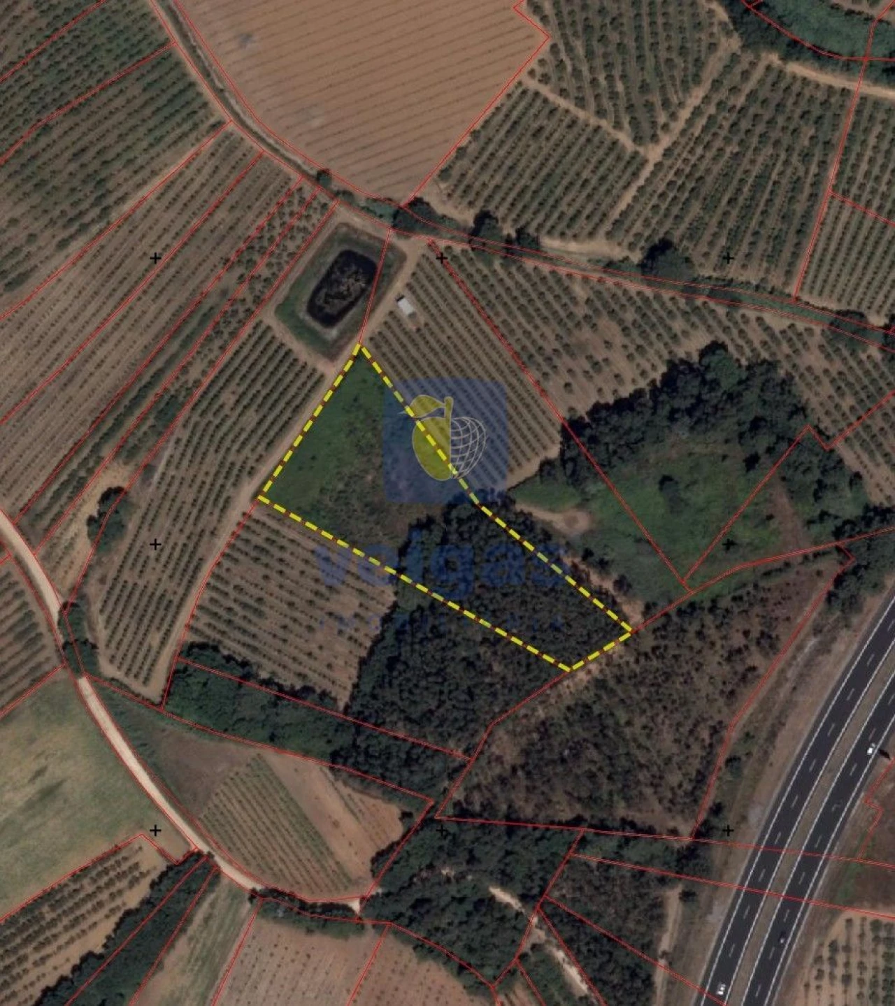 Terreno para Venda em Bombarral e Vale Covo Foto 11