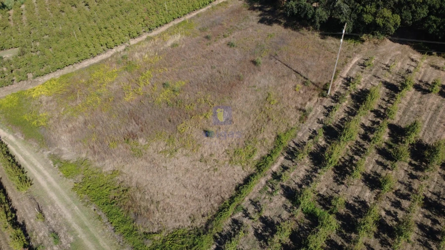 Terreno para Venda em Bombarral e Vale Covo Foto 9