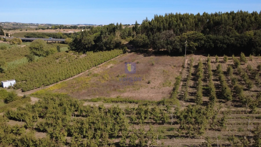 Terreno para Venda em Bombarral e Vale Covo Foto 1