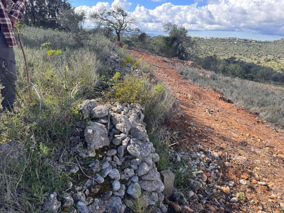 Terreno para Venda em São Bartolomeu de Messines Foto 9