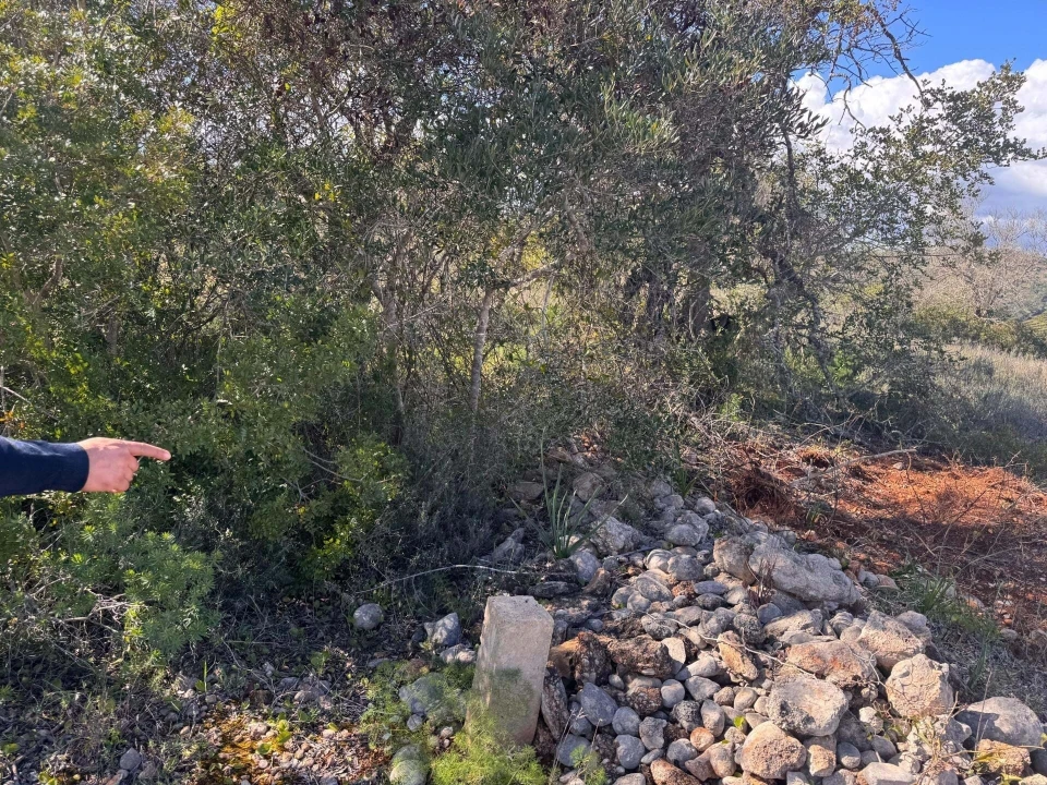 Terreno para Venda em São Bartolomeu de Messines Foto 10