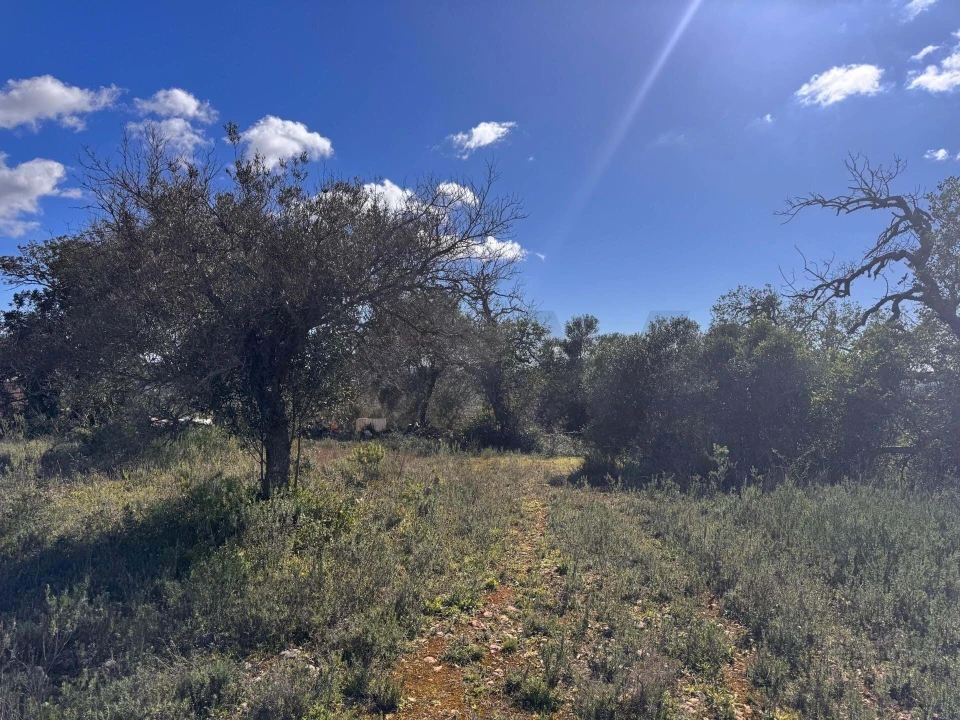 Terreno para Venda em São Bartolomeu de Messines Foto 3