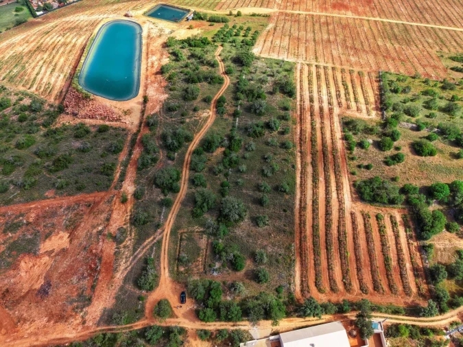 Terreno para Venda em Silves Foto 2