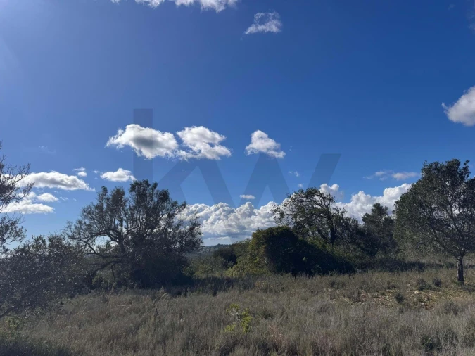 Terreno para Venda em São Bartolomeu de Messines Foto 12