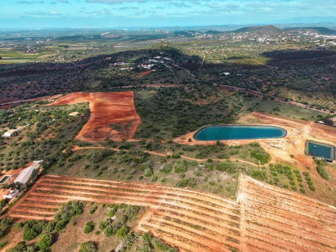 Terreno para Venda em Silves Foto 6